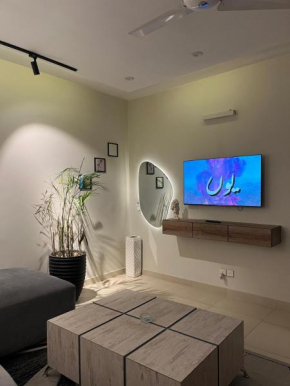 1 Bhk Modern Theme Apt